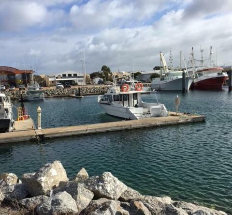 Port Lincoln Shark Apartment 1 Eksteriør bilde